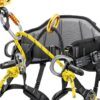 Petzl Sequoia trepleiesele