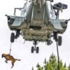 Dimatex Salvatex heisbar hundesele
