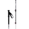 MSR DynaLock Explore Poles teleskopstaver