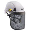 Petzl Vizen Mesh