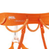 Petzl Hirundos klatresele