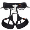 Petzl Hirundos klatresele