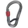 Camp Atom Belay Lock