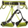 Camp Alpine Flash