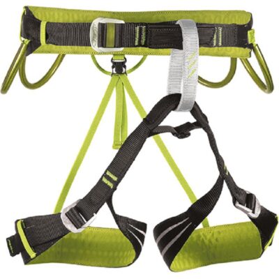 Camp Alpine Flash