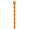 Petzl Control 12.5mm