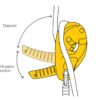 Petzl Rig taubrems