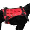 Dimatex Trak hundesele