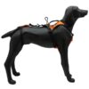 KONG Haria hundesele