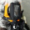 KONG Haria hundesele