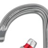 Petzl Am'D karabin