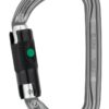 Petzl Am'D karabin