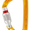 Petzl Sm'D karabin