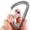 Petzl Spirit karabin