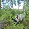 Tunneltelt Compact all-round tent (C.A.T™)