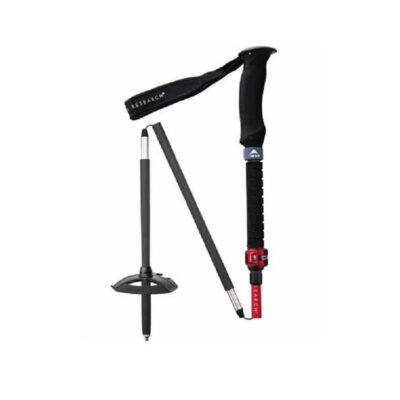 MSR DynaLock Ascent staver