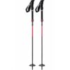 MSR DynaLock Ascent staver