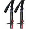 MSR DynaLock Ascent staver
