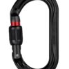Petzl OK karabin