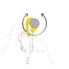 Petzl Coeur Pulse bolt