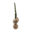Y&Y Balls