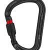 Petzl William karabin