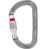 Petzl Am'D karabin