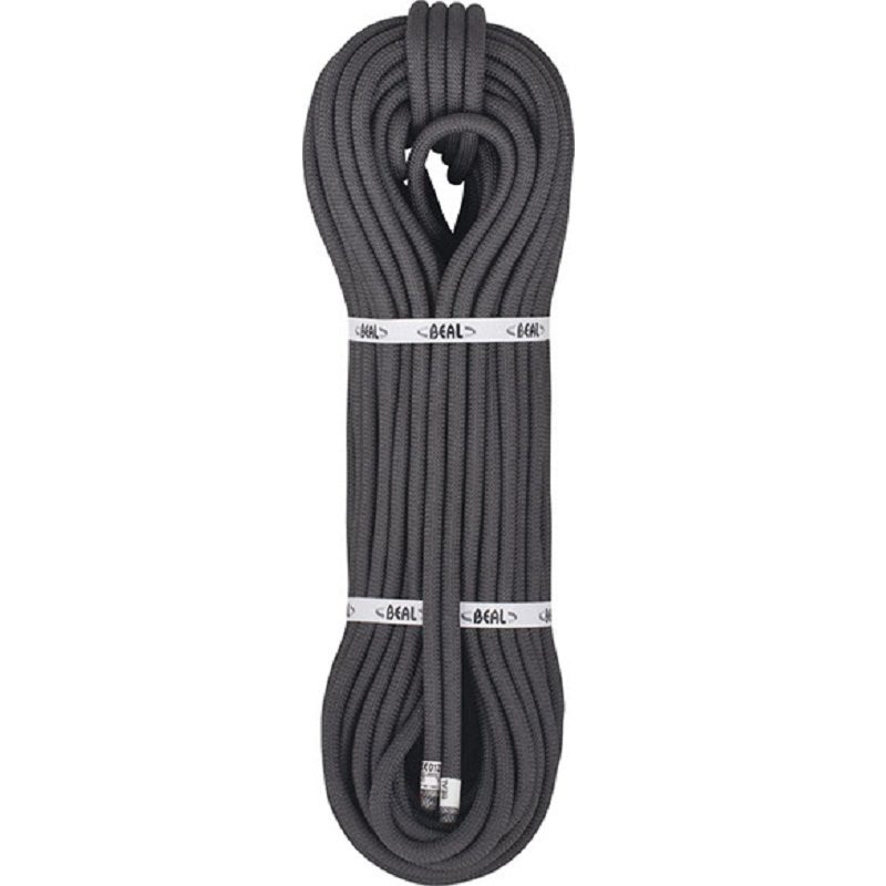 Beal Raider Tactic 11mm tau