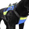 Dimatex Drakken 3 hundesele