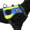 Dimatex Drakken 3 hundesele