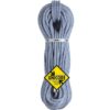Beal Access 10.5 mm tau